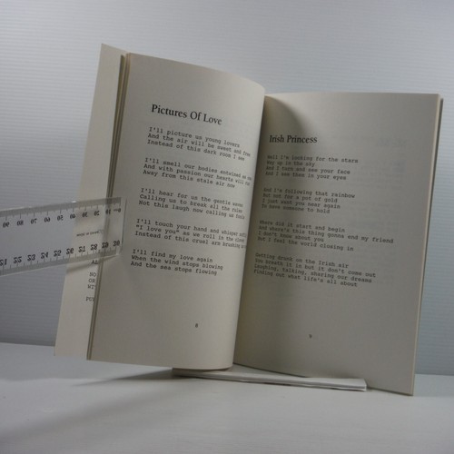 Window To My Soul by Anthony Brady Illustrated Paul Kearny 1994 Poetry Book PB - Bild 6 von 12