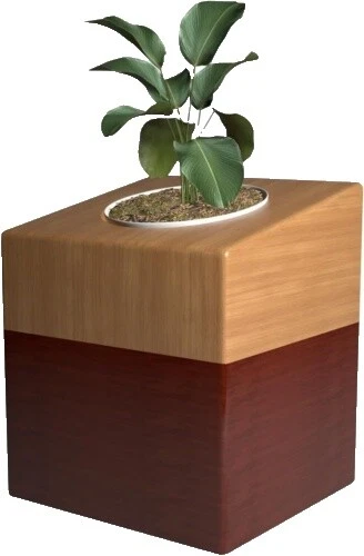 Jarrones de Madera Rústico/primitivo