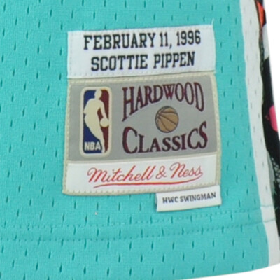 NBA All Stars East Scottie Pippen #30 HWC Swingman Jersey Mitchell