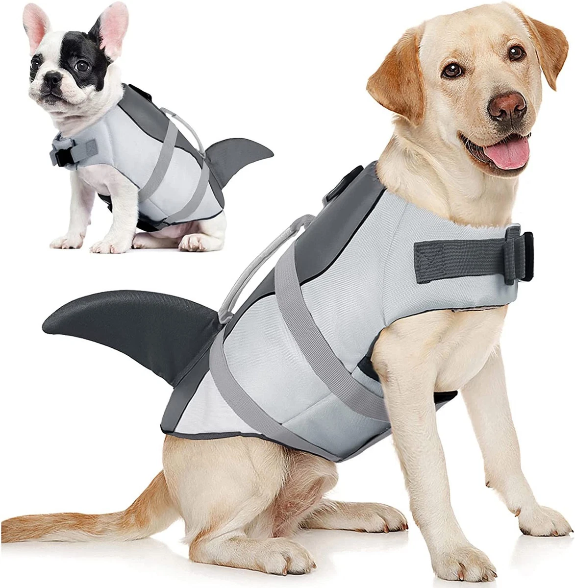 X small dog life deals jacket