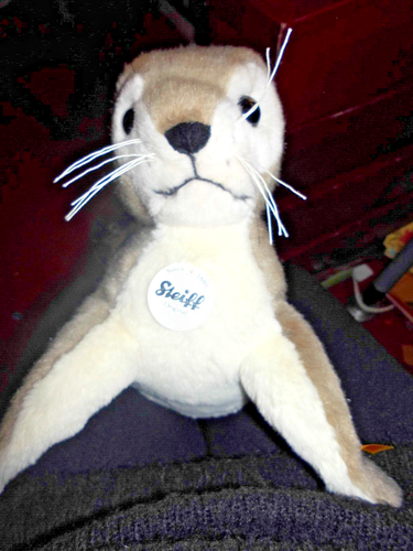 STEIFF ROBBY SEEHUND 30 TAGGED 063114 14 " LONG UNBOXED