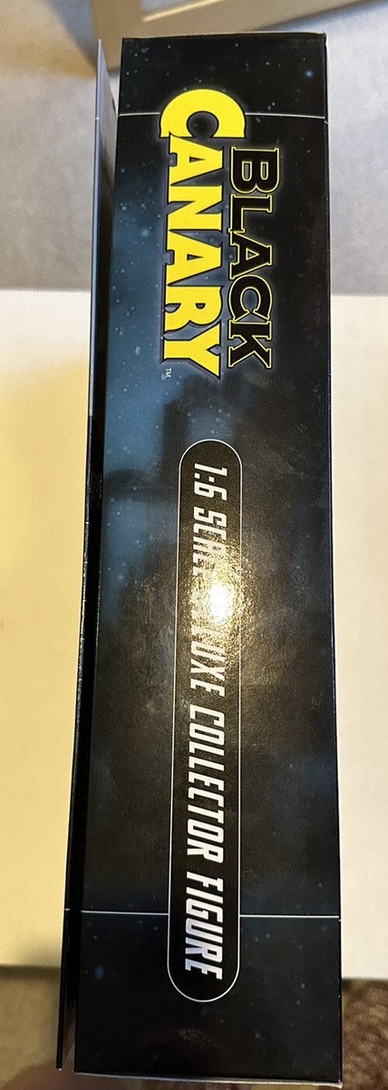 DC Direct 1:6 Scale 13'' Deluxe Collector Figure Black
