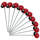 Foto 9 di 12