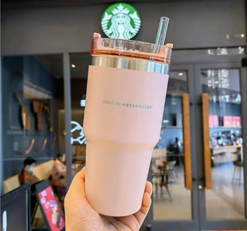 Starbucks Stanley Classic Straw Cup Pink Insulated Car Cup 20oz Pink