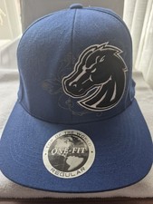 Boise State Broncos Logo Hat Nwt