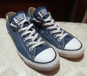 model model sepatu converse