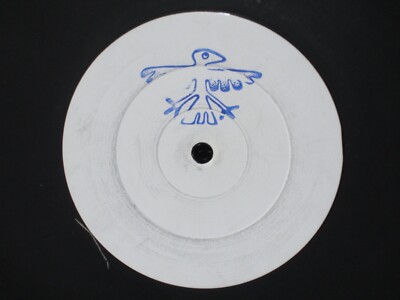 Sinéad O'Connor   Troy (Rob Searle Remix) 12'' Vinyl Single-Sided White Label VG+