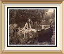 Stampa antica originale c1901 preraffaellita J Waterhouse 120+ anni vecchia LADY SHALOTT
