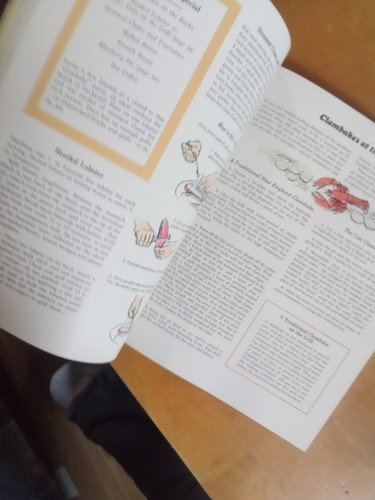 Betty Crocker's New Outdoor Cookbook Barbecues (1967, First Printing, 1st editio - Picture 18 of 20