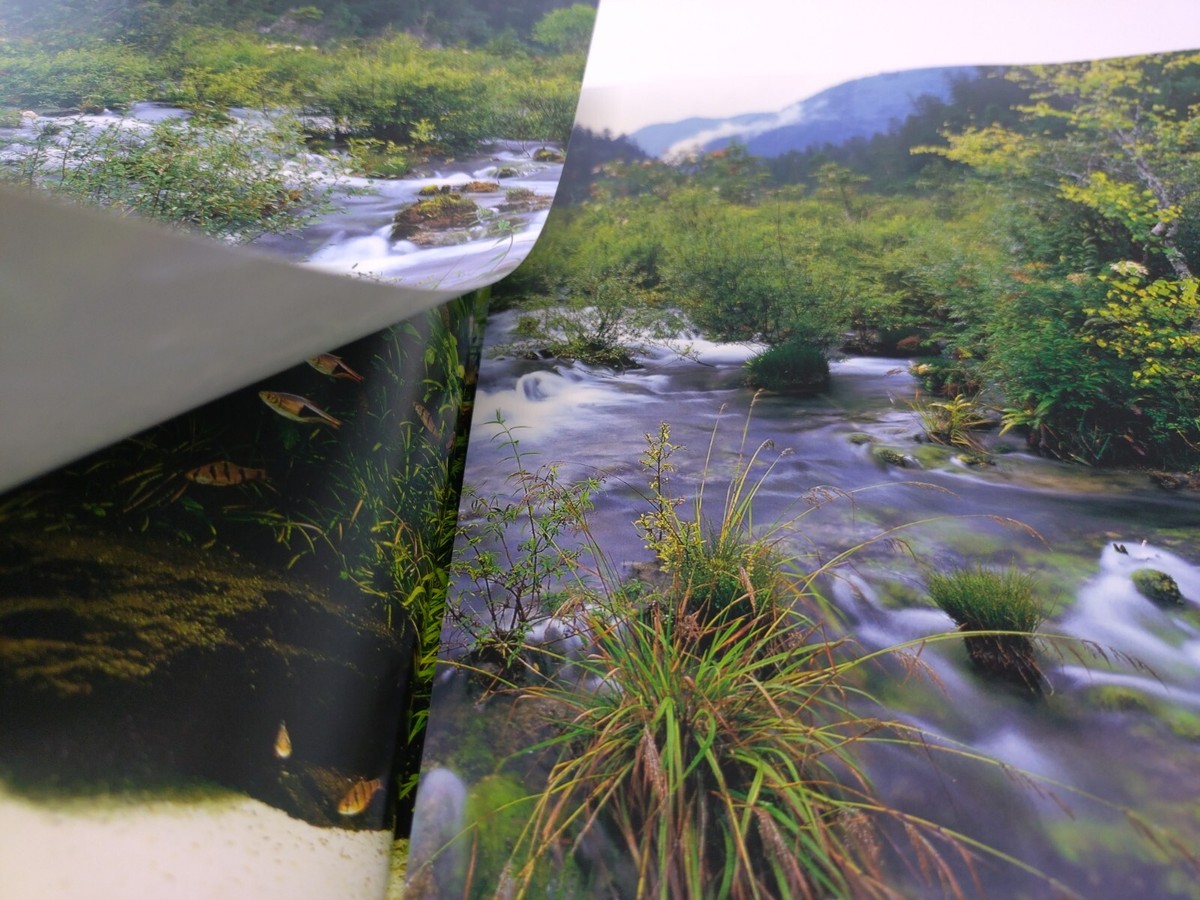 The Book of Aqua Design Amano ADA Concept Products | Japanese