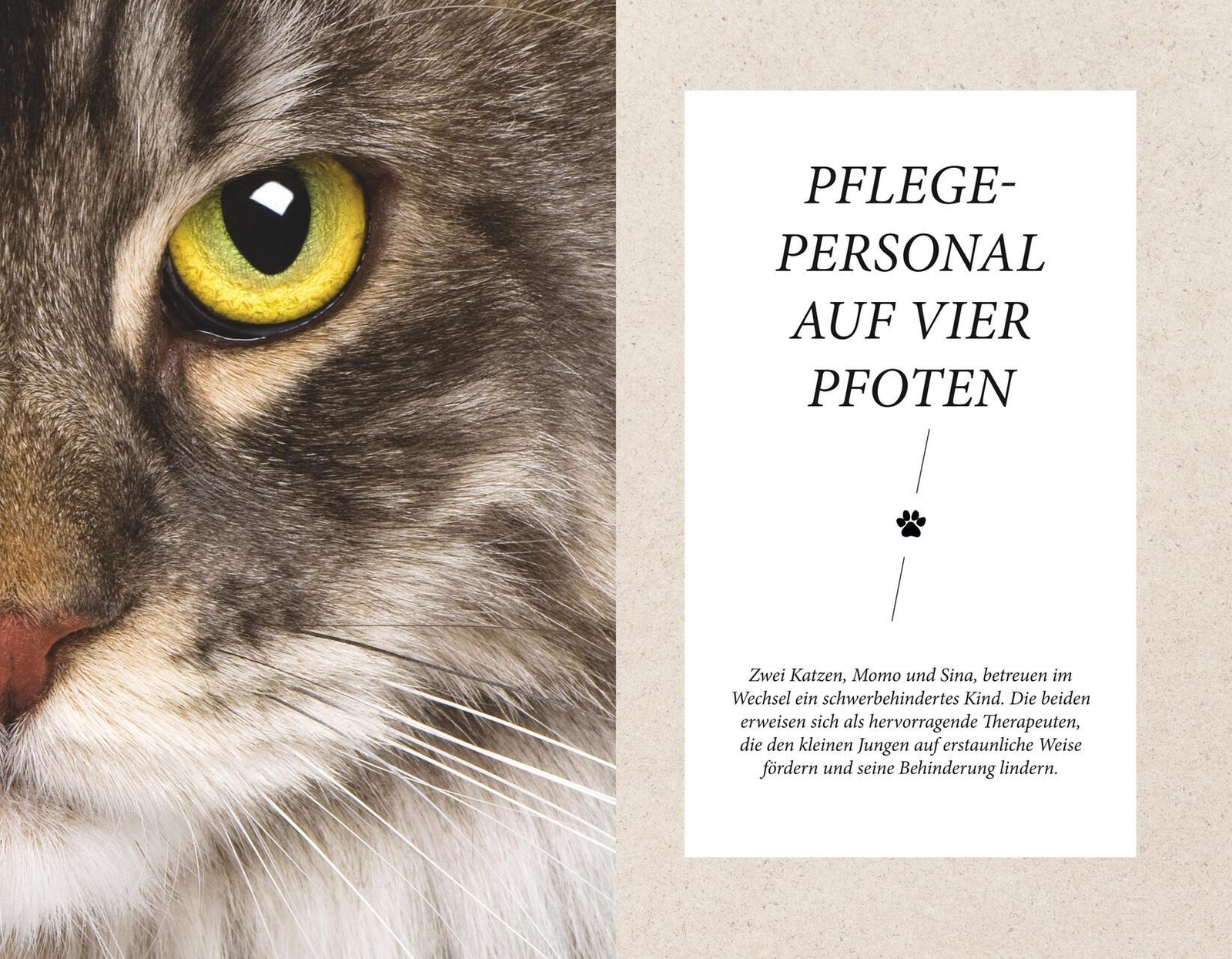 Thumbnail - Die Unglaublichen Fähigkeiten Der Katze Gabriele Linke-grün