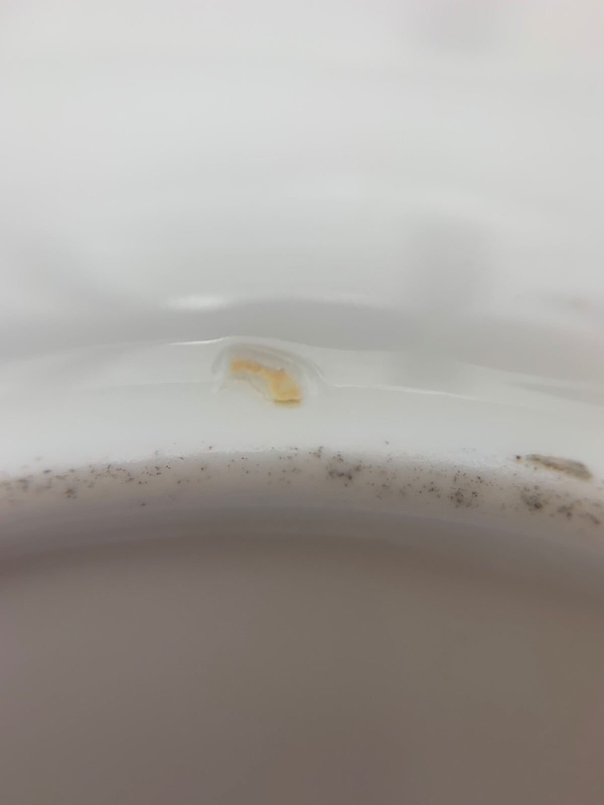 Picture 17 of 19