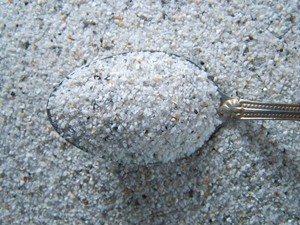 Medium-Arkansas-Quartz-Crystal-Sand-3-Pounds-Over-92-Pure-Quartz