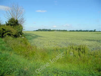 Photo 6x4 Wheat land Dawsmere West of Durham's Road with Wards Farm  c2009