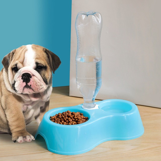 Rejea Bamboo Fiber Pet Feeder Dog Bowl Cat Food Water Bowls Round