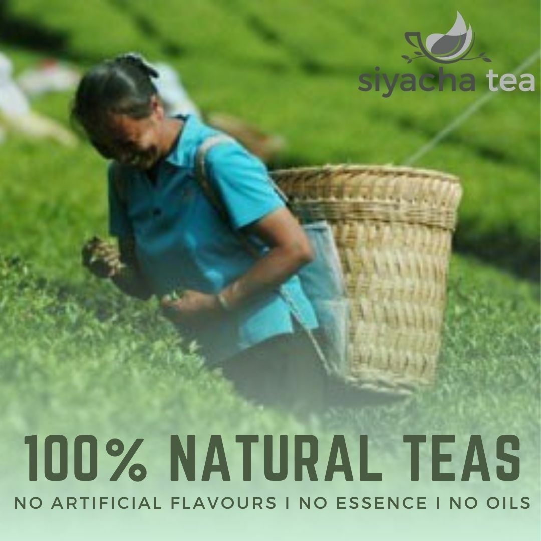 Kashmiri Kahwa Green Tea Loose Leaf Pure Spiced Blend Refreshing Healthy Herbal
