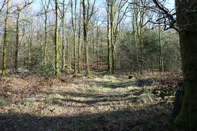 Foto 6x4 Pferdeprüfung, Cally Woods Torhaus der Flotte mit Hufeisen März c2018