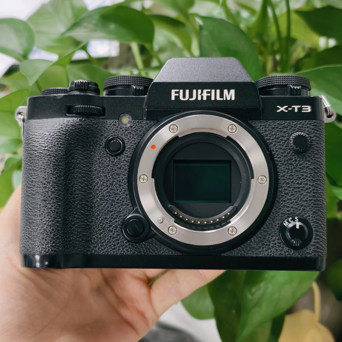 25+ Fujifilm X-T3 Digital Cameras for sale | Updated Oct 2026