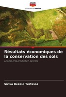 Sirika Bekele Terfassa | RéSultats éConomiques De La Conservation Des Sols