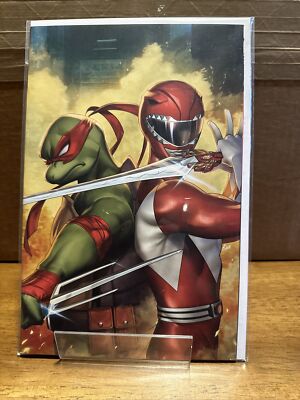 Teenage Mutant Ninja Turtles TMNT MMPR Power Rangers Raphael R1CO ...