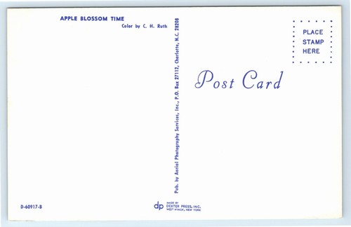 Postal Apple Blossom Time - Imagen 2 de 2