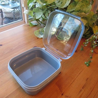 Tupperware 1619 Square 7''x 7'' Modular Mates 5 Cup Hinged Top Country Blue USA