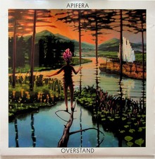 APIFERA Overstand LP (NEW 2020 Vinyl) Jazz Fusion Amir Bresler/Nitai Hershkovits