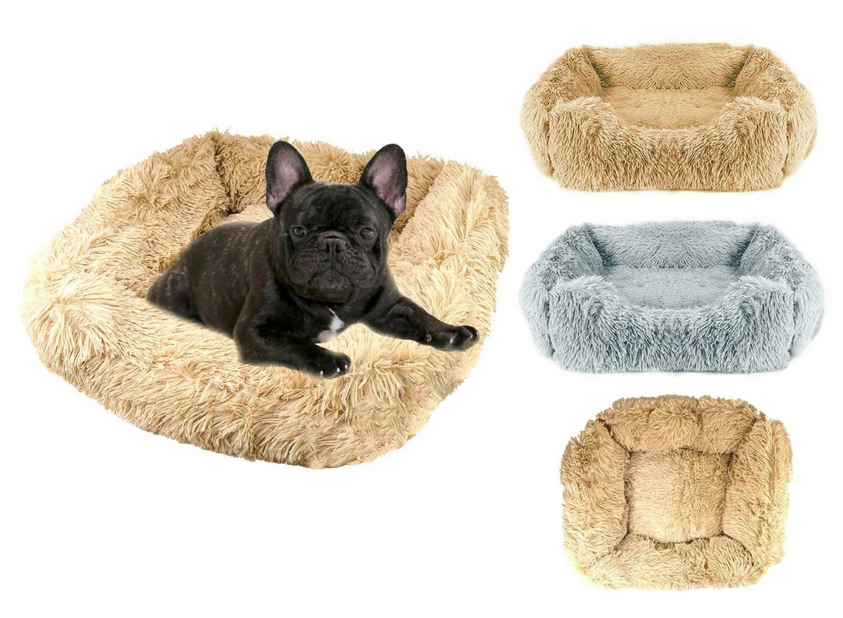 How Long Does Nesting Last In Dogs