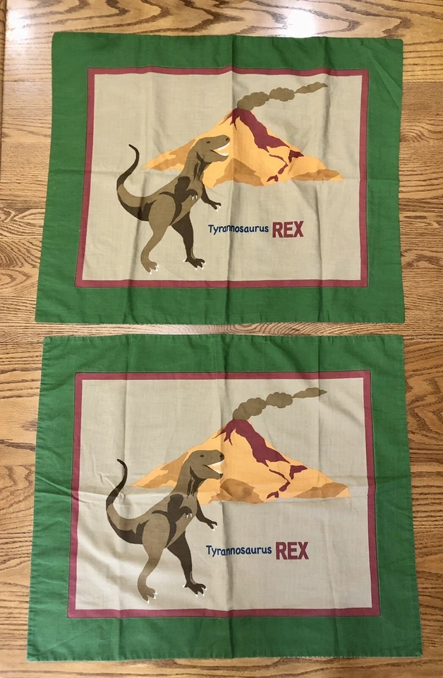 2 - Funda de almohada para niños Shams By Home Trends Tyrannosaurus Rex 31 X 26 dinosaurio Foto 2 de 4