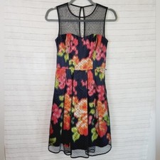 Eliza J Floral w Swiss Dot Overlay Fit & Flare Dress, sz 0