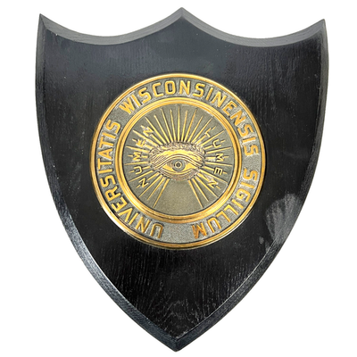 #ad University of Wisconsin Vintage Wall Plaque Eye Numen Lumen Latin Motto College $149.95