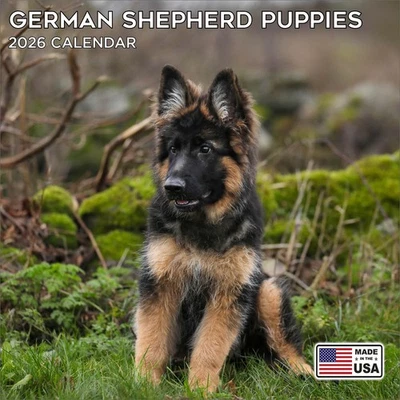 MEGACALENDARS German Shepherd Pups Calendar 2026 - Dog Breed Wall Calendar - Made in the USA!