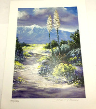 Signed Limited Edition ART Print Dillie Thomas – Yucca xxxx/2500