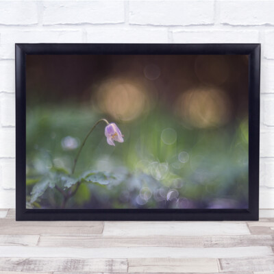 Floral Botanical Pastellfarben Bokeh Wandkunstdruck
