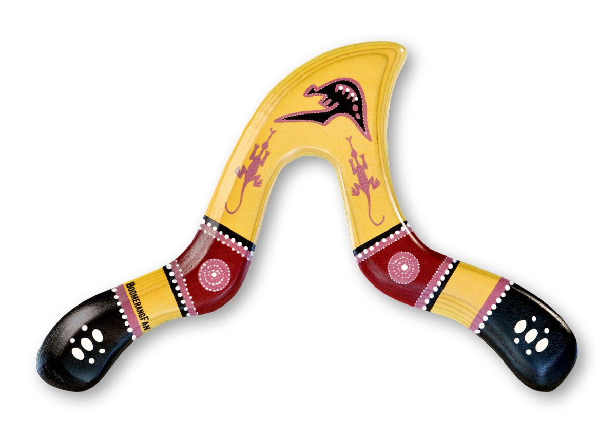 Sport Bumerang BoomerangFan Original Jaguar Für Rechts- Oder