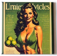Woman with Limes FRIDGE MAGNET sign advertisement "style B"