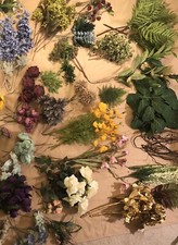 Artificial Flower Collection - Flowers, Foliage, Twigs  More  800 Value