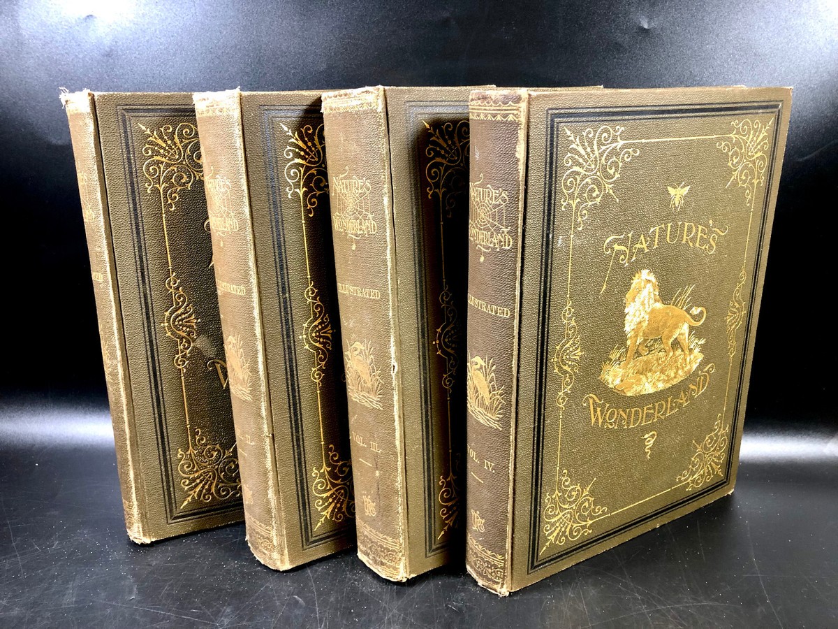 1893 4 Vol. Set Nature's Wonderland J. Edward Kingsley
