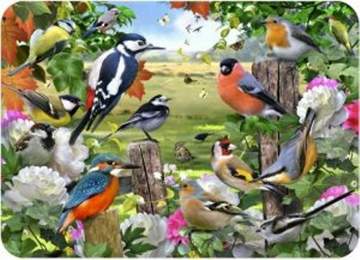 British Birds Tuftop Worktop Saver Glass Chopping Board various sizes
Opens in a new window or tab
