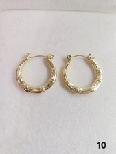 Stainless Steel Gold Tone Hoop Earrings