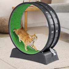 Large Cat Exercise Wheel Cat Treadmill Cat Running Wheel Silent Movement Cat Toy