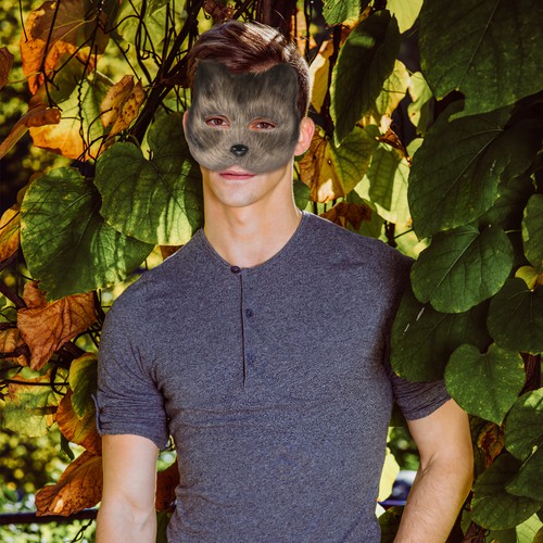 2pcs Fox Mask Stage Performance Blank Mask Hand Painting Mask Diy Lint Mask - Imagen 4 de 11