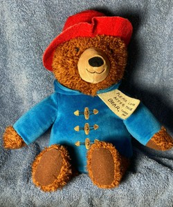 teddy bear jacket kohls