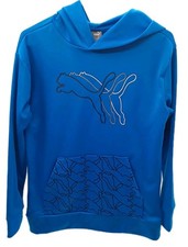 Puma Hoodie Youth Large Blue Graphic Casual Training Pullover Sweatshirt Boys