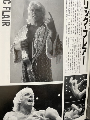 AJPW 1989 Excite Series Program Ric Flair Road Warriors NWA WWE Wrestling Japan - Picture 6 of 7