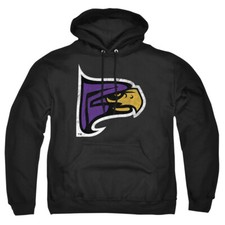 Hunter College Adult Pullover Hoodie Distressed Primary Logo, Black, S-3XL