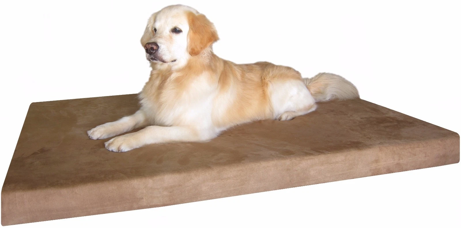 Orthopedic Waterproof Memory Foam Pet Bed for Small Medium to Large XL Jumbo Dog
Opens in a new wind