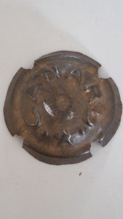 capsule de Champagne Ancienne Canard Duchene