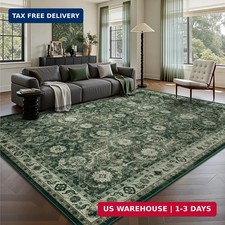 5X7 Area Rugs, Soft Non Slip Low Pile Washable Rug, Boho Modern Rug for Living R