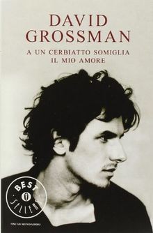 A un cerbiatto somiglia il mio amore von David Gros... | Buch | Zustand sehr gut